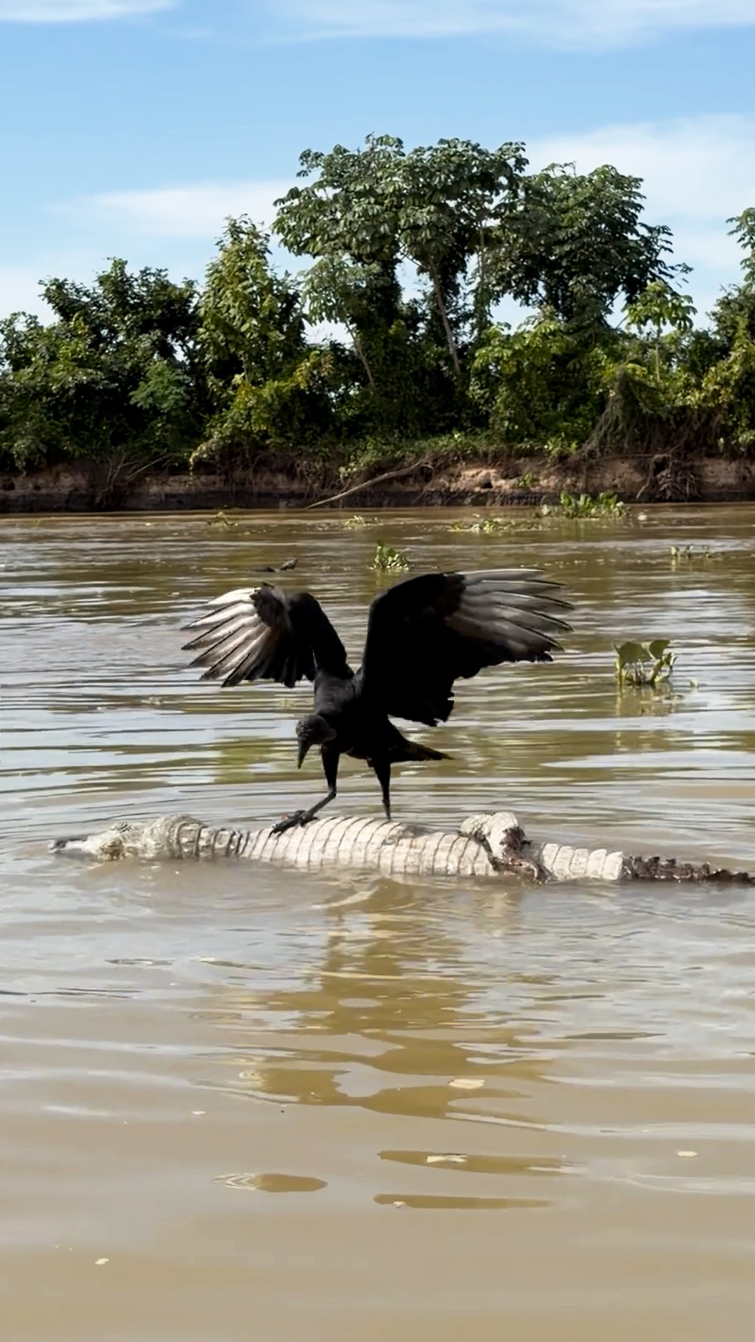 Cover of the Reel by National Geographic